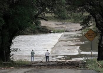 ¿Trump dijo que esperaba que los fallecidos por las inundaciones en Texas fueran inmigrantes?