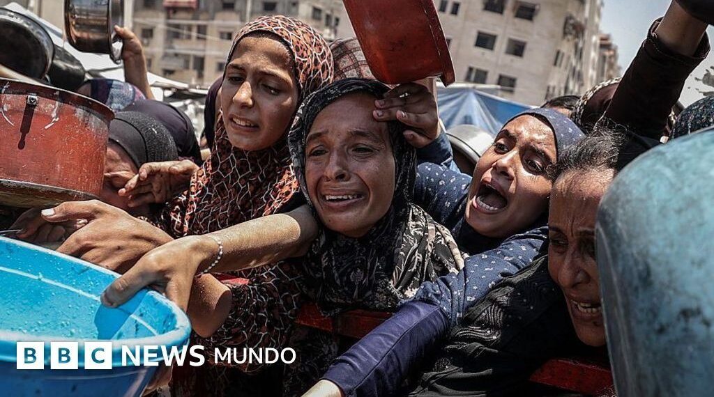 El hambre en Gaza desata una ola de indignación mundial para frenar la guerra