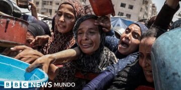 El hambre en Gaza desata una ola de indignación mundial para frenar la guerra