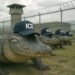 ‘Es desgarrador‘: ¿Qué tiene inquietos a los migrantes cubanos en Alligator Alcatraz?