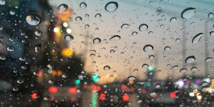 #TeExplicamosElDía | Sábado 16 de agosto